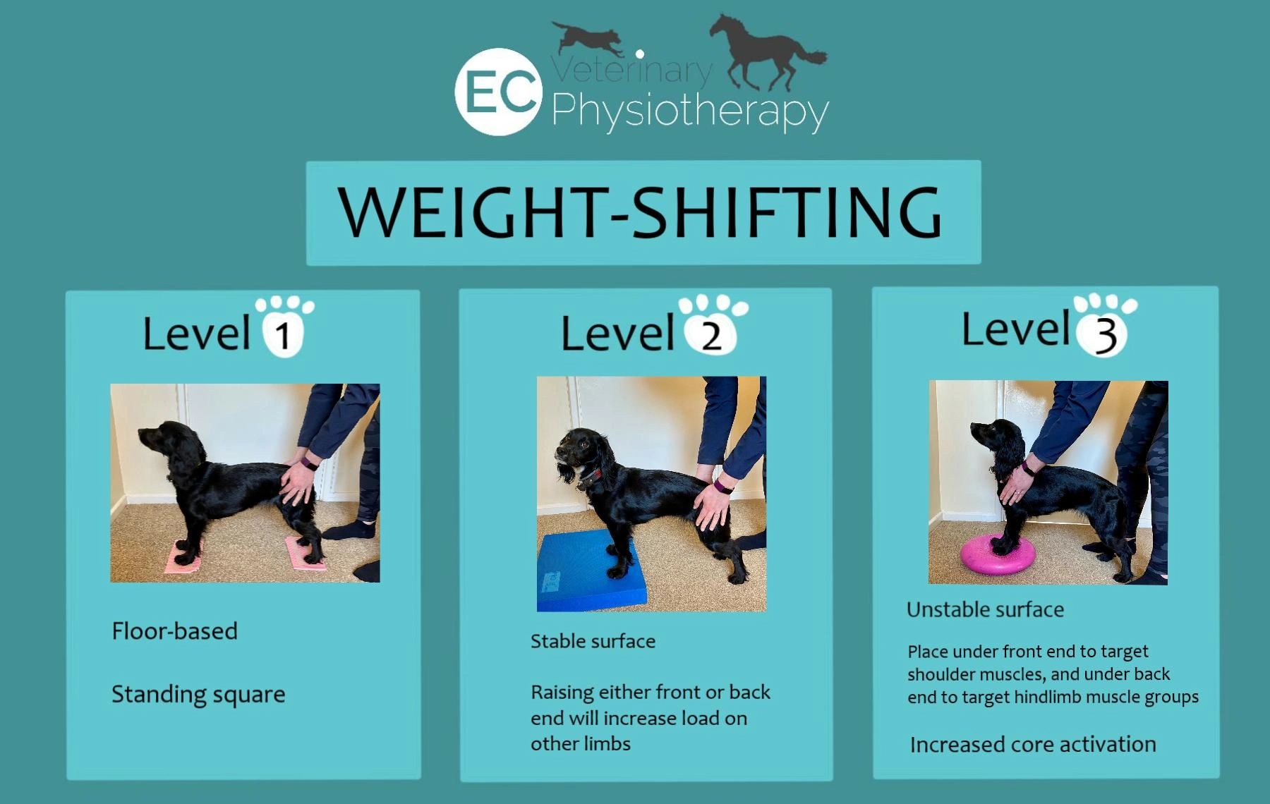 Weightshifting exercise